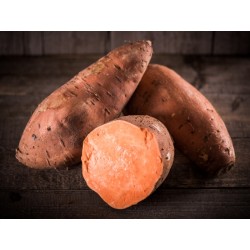 Patate douce orange