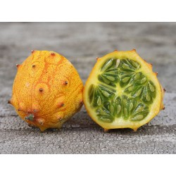 Kiwano