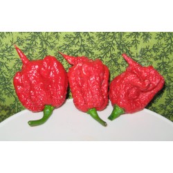 Piment très très fort...